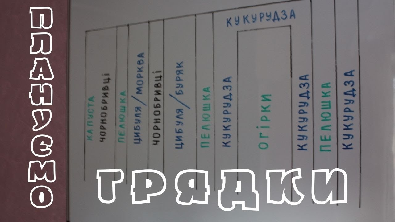 Плануємо грядки: як розмістити всі улюблені овочі на одній грядці