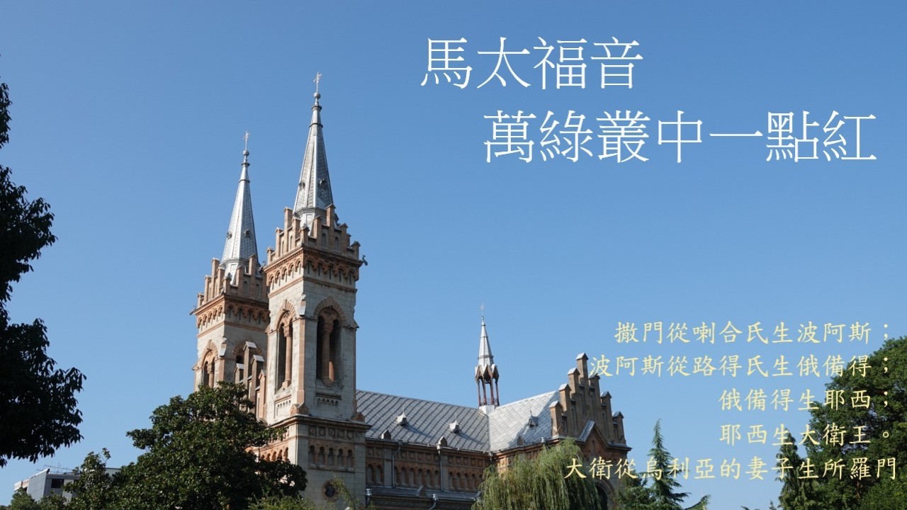 靈修:馬太福音-萬綠叢中一點紅 20260305