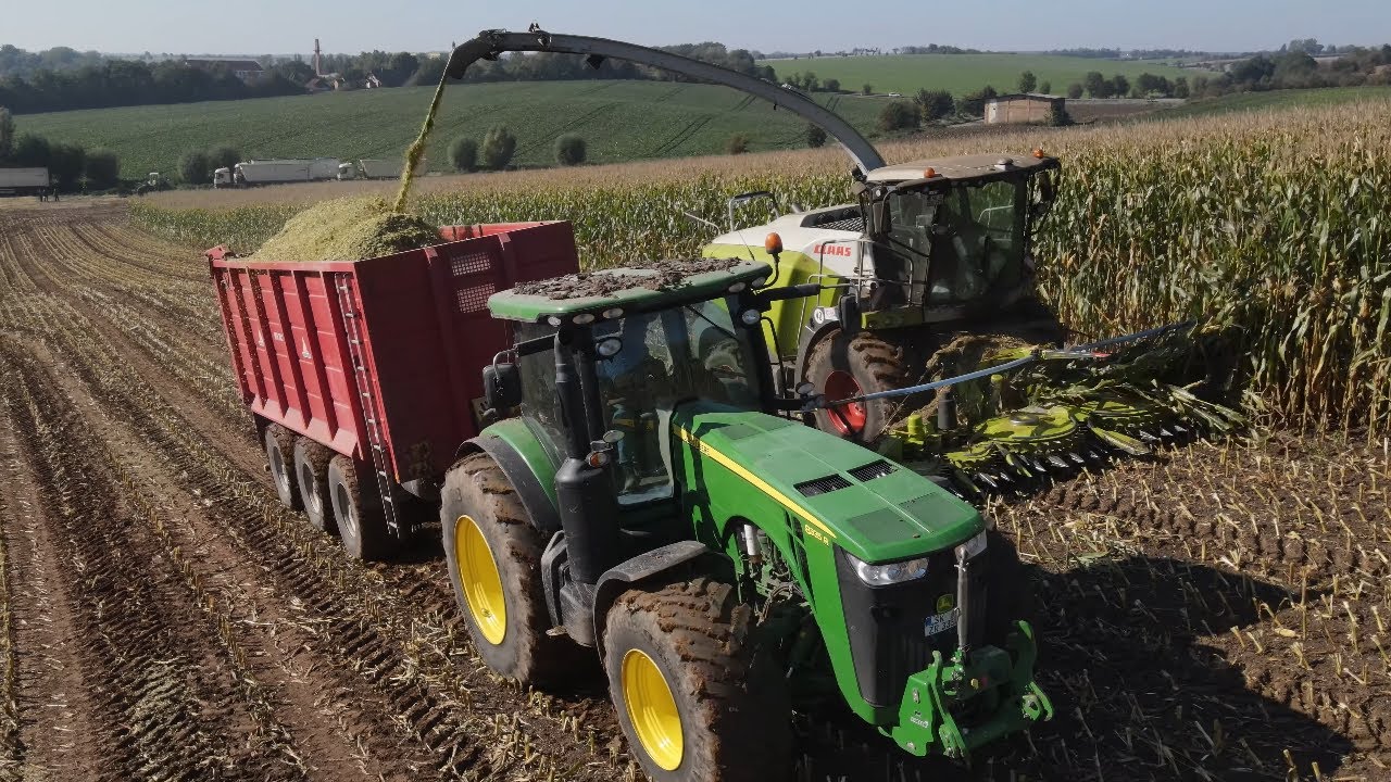 Keine Musik! Mais Häckseln & Silieren CLAAS Jaguar 970 & Xerion / Zirngibl Niederschmon 4k UHD  2021