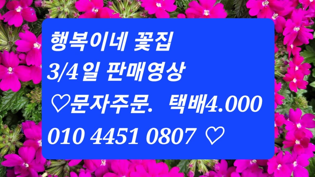 행복이네 꽃집 3/4일 꽃판매 택배비 4천원 ●문자주문 010-4451-0807 ● 구독.좋아요 오늘도  많이 예뻐해 주시겠어요^^
