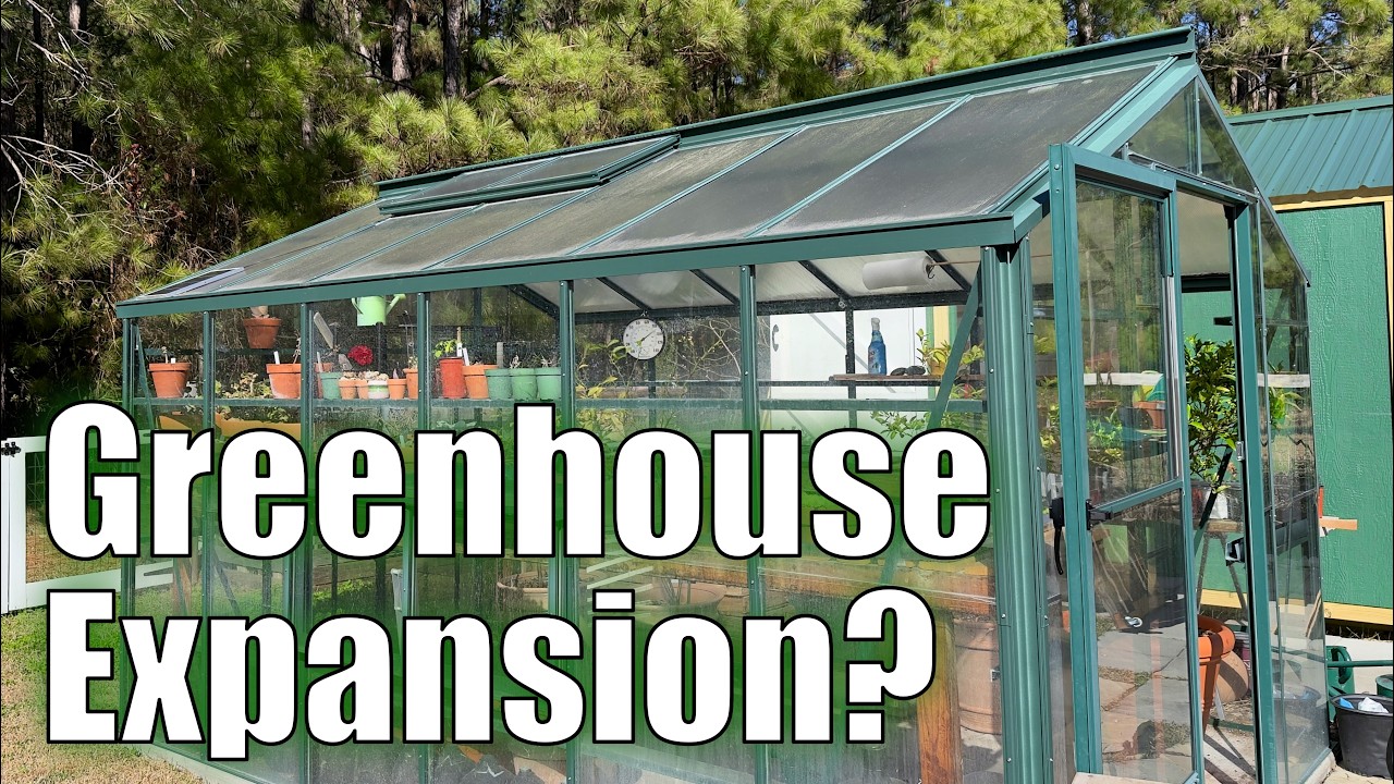 Preparing the Greenhouse for Seed Starting