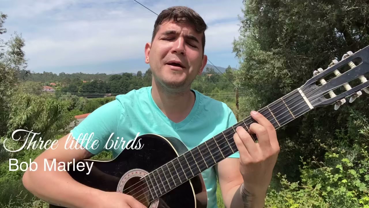 Three little birds - Bob Marley | Tio Maykon