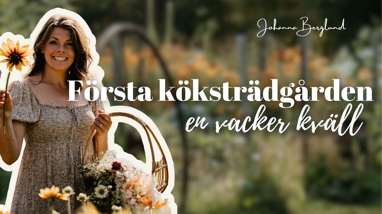 En kväll i min köksträdgård & blomsterodling