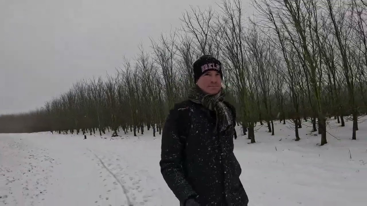 Sneeuw in Nederland - Bentwoud - 4 januari 2026