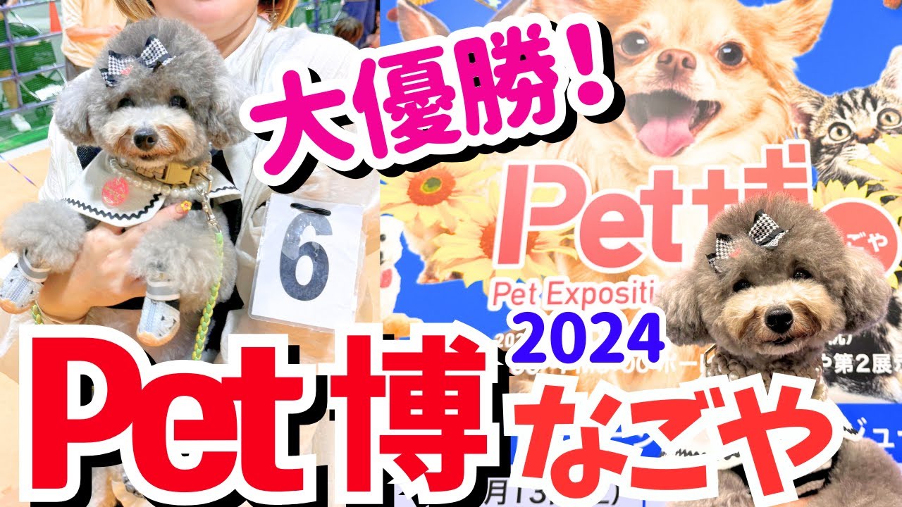 【Pet博2024なごや】名古屋で愛犬が大優勝🐩★㏌ポートメッセなごや【後編】レゴランド最後おまけあり♥