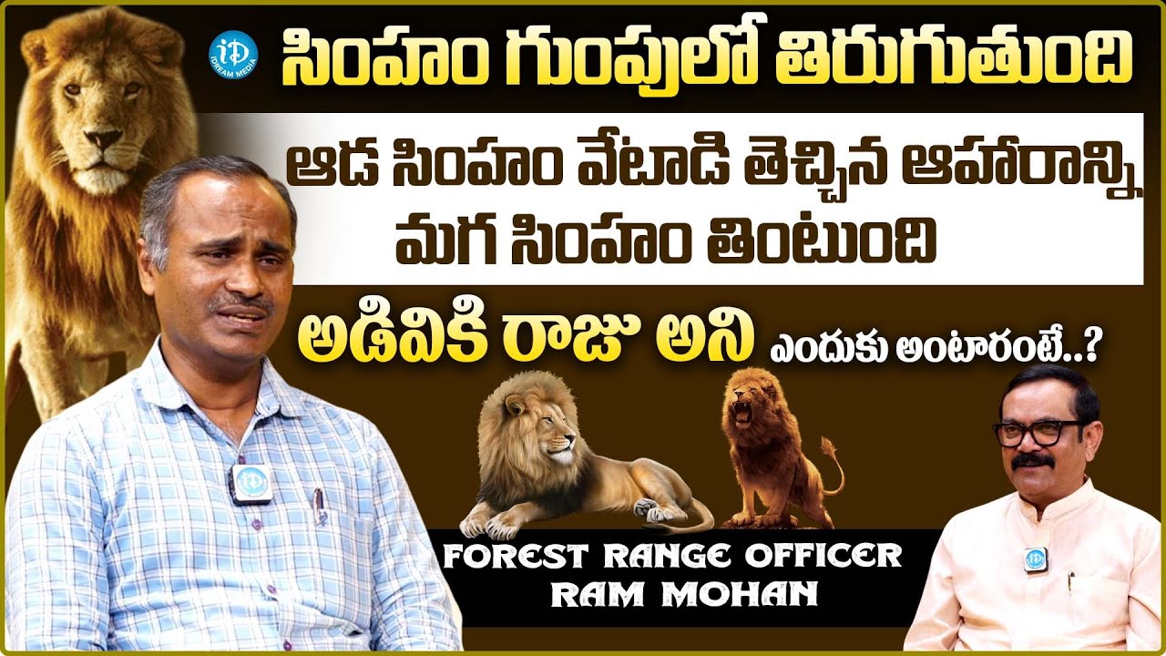 Forest Range Officer Ram Mohan About lion Life | iDream Trending