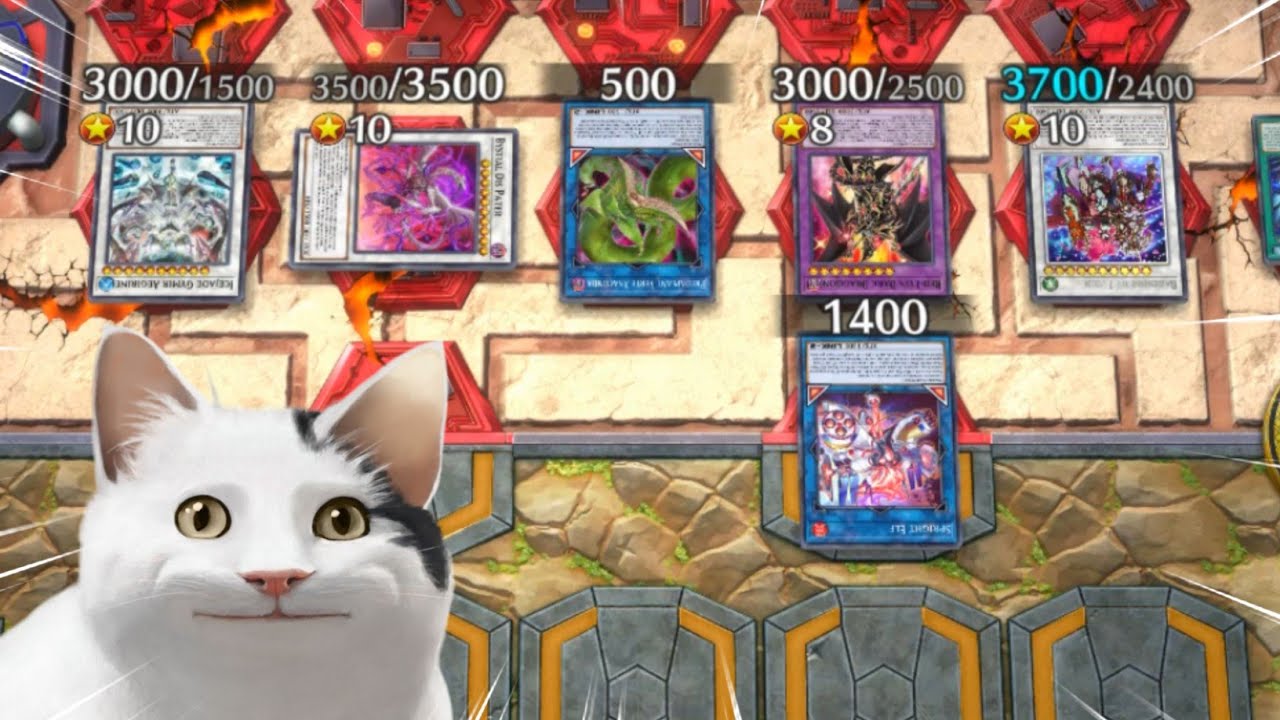 WHEN YOU DESTROY 20 MIN DRAGOON NEGATE BOARD WITH ONE SPELL