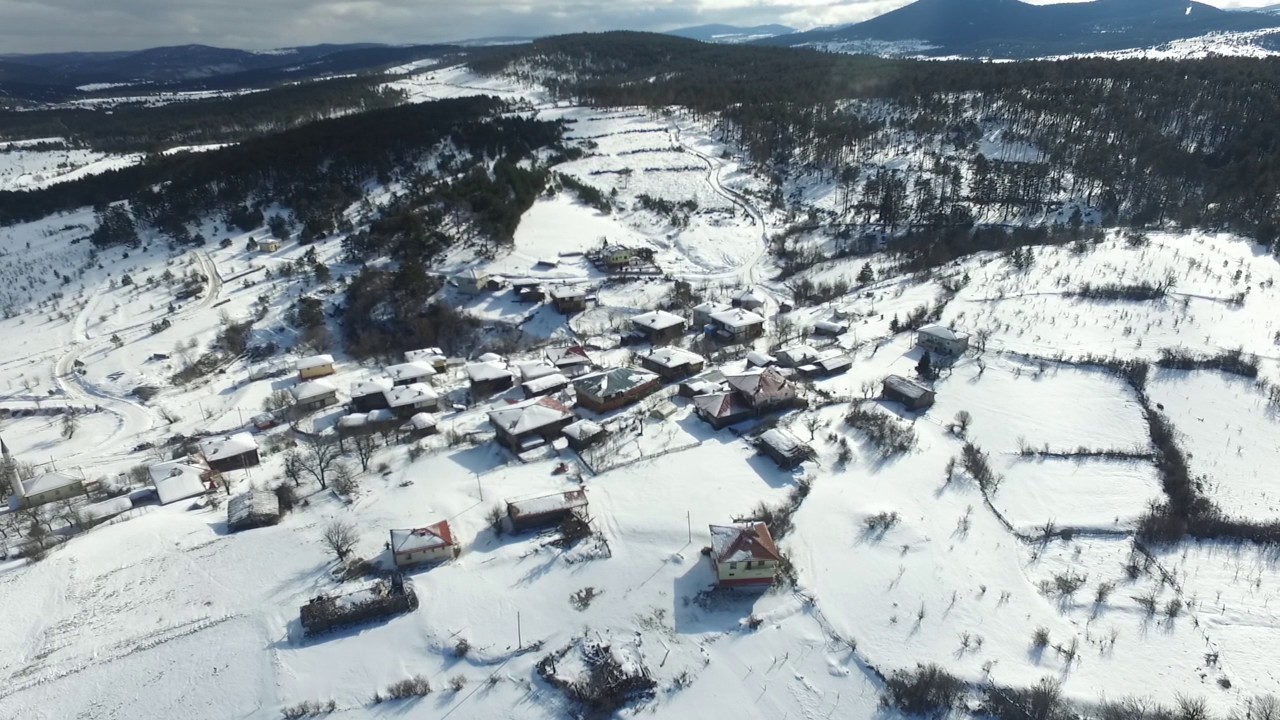 Karadedeoğlu 2017