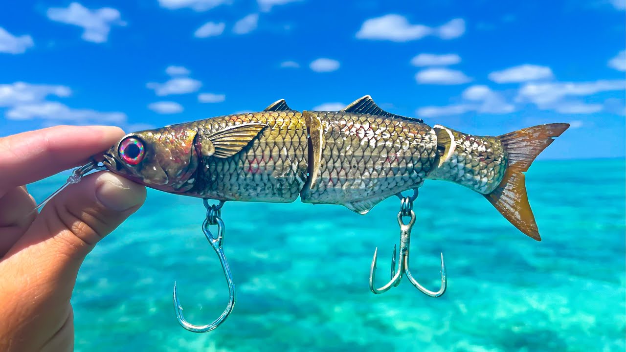 REALISTIC Lures vs BIG Saltwater Fish