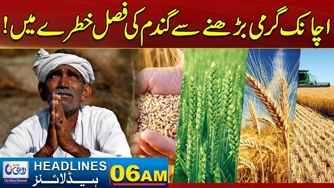Wheat Crop Danger Due Sudden Increase Temperature! l 06AM News Headlines l 14 March 2026 l Rohi