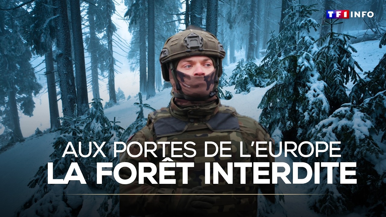 Grands reportages - Aux portes de l'Europe : La for&ecirc;t interdite｜TF1 INFO