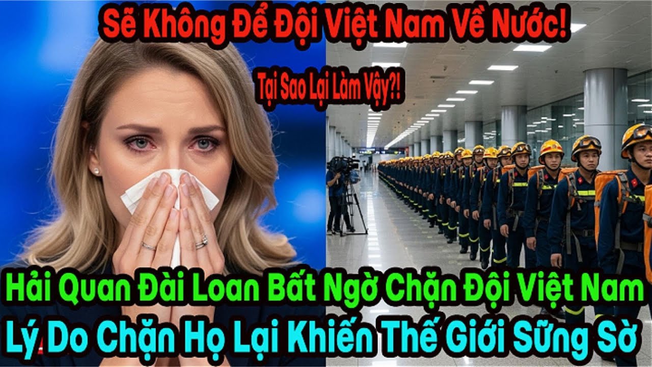 Ơn Nghĩa Việt Nam, Cả Đời Không Quên! Hành Động Bất Ngờ Của Hải Quan Đài Loan Khiến Thế Giới Rơi Lệ.