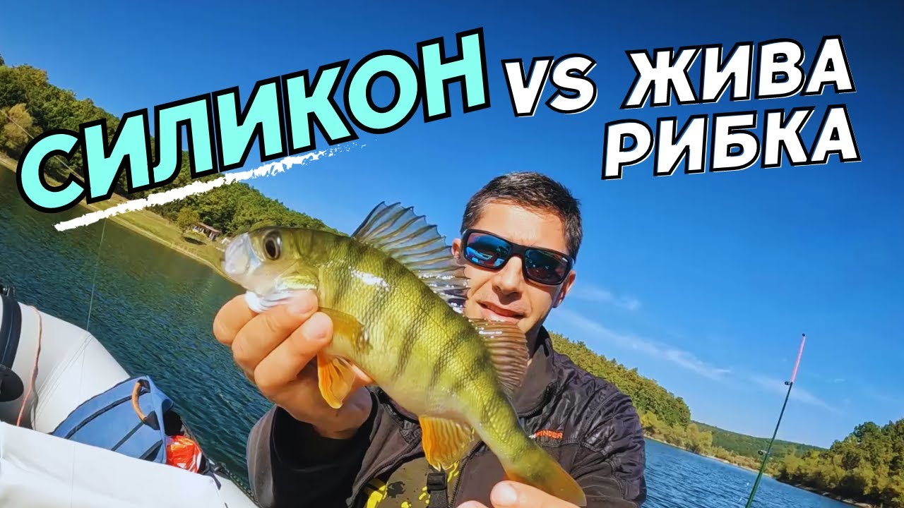 Силикон срещу жива рибка риболов на костури