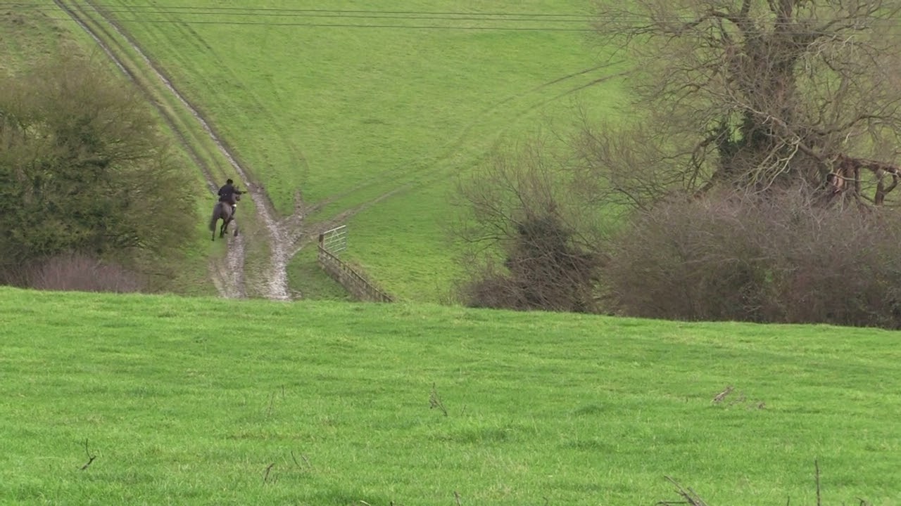 Trail Hunting Explained