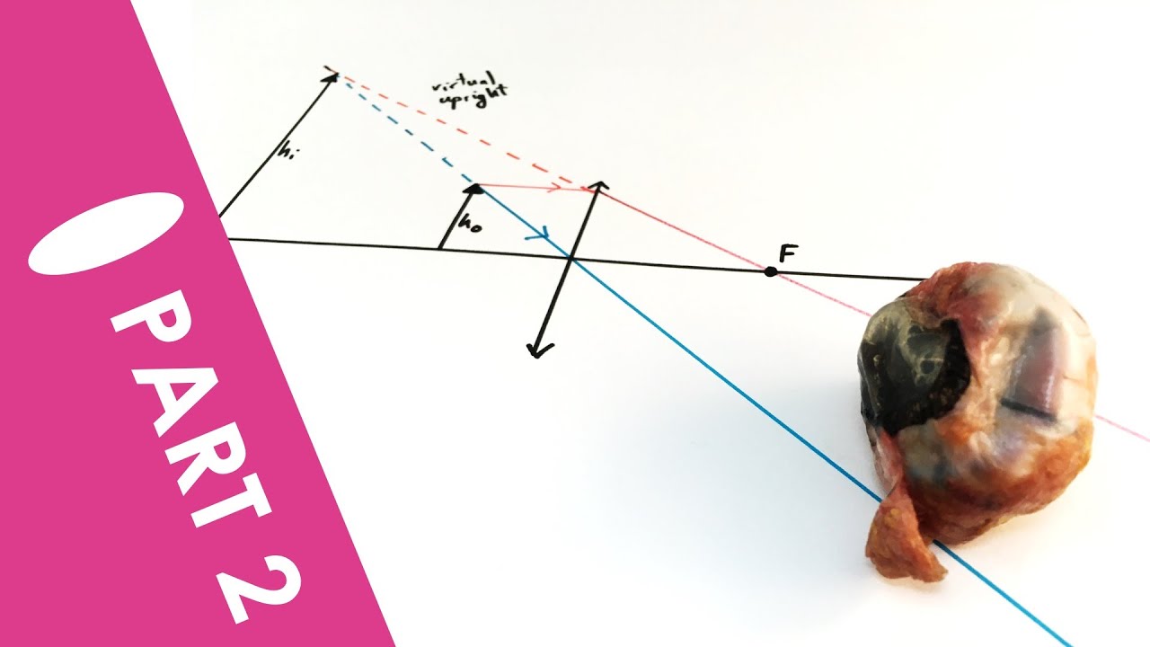 Virtual Images in a Converging Lens  - A Level Physics