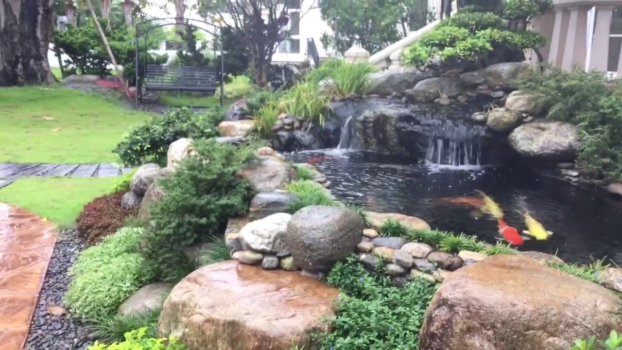 SÂN VƯỜN & HỒ KOI NHÀ CHỊ THẠCH KHU BIỆT THỰ CHATEAU PMH Q7 NGÀY 18/6/2018