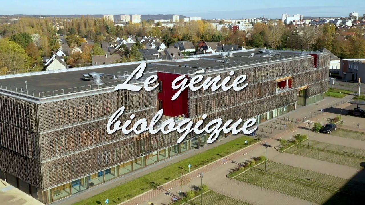 Le g&eacute;nie biologique &agrave; l'UTC
