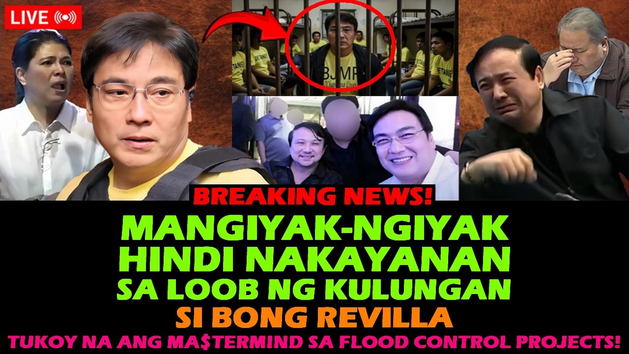 BONG REVILLA MANGIYAK NGIYAK! TUKOY NA ANG MA$TERMIND SA FLOOD CONTROL PROJECTS! LANI MERCADO