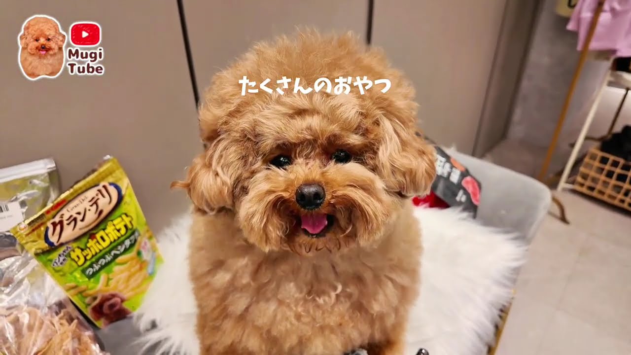 むぎのASMRで癒されてください