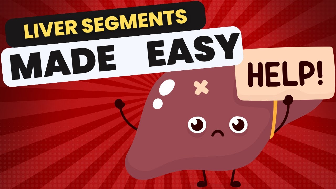 Liver segments anatomy on CT