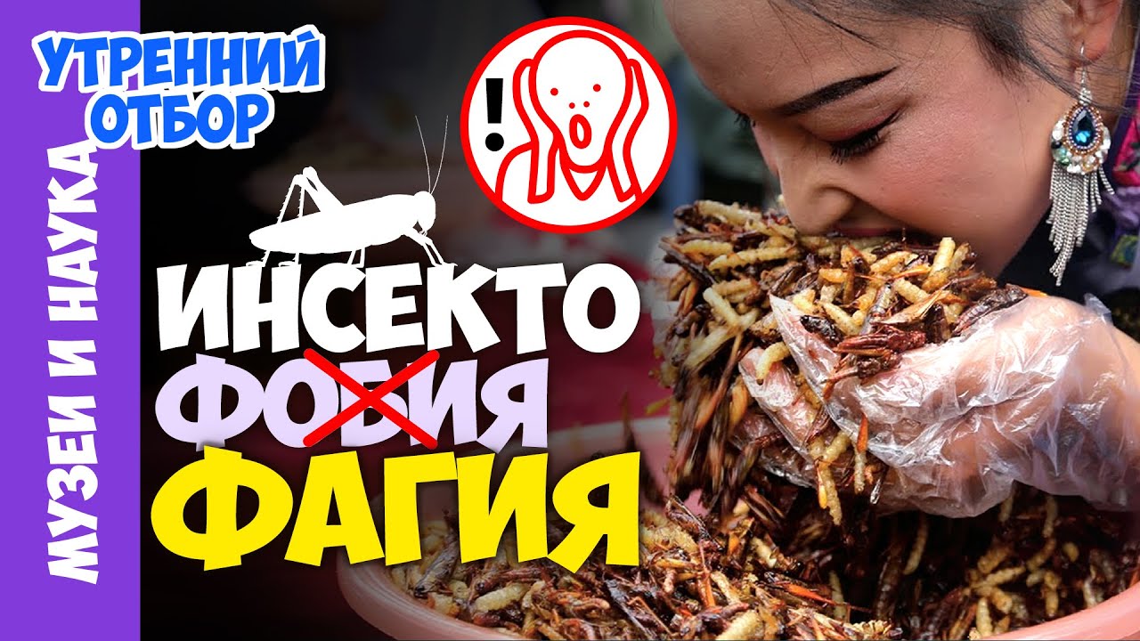 Съедобные насекомые. Есть или не есть? Игорь Фадеев