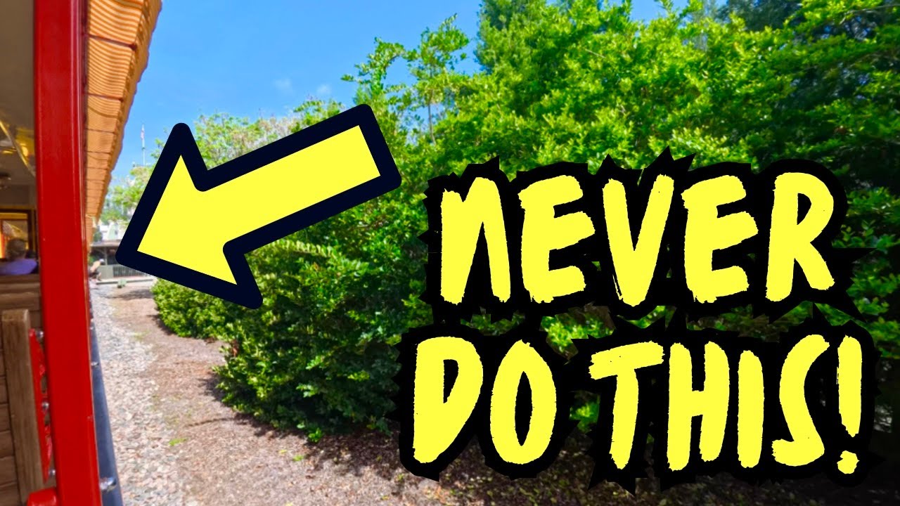 Guest Jumps From Moving Train! 🚫 Walt Disney World Railroad | June 2025