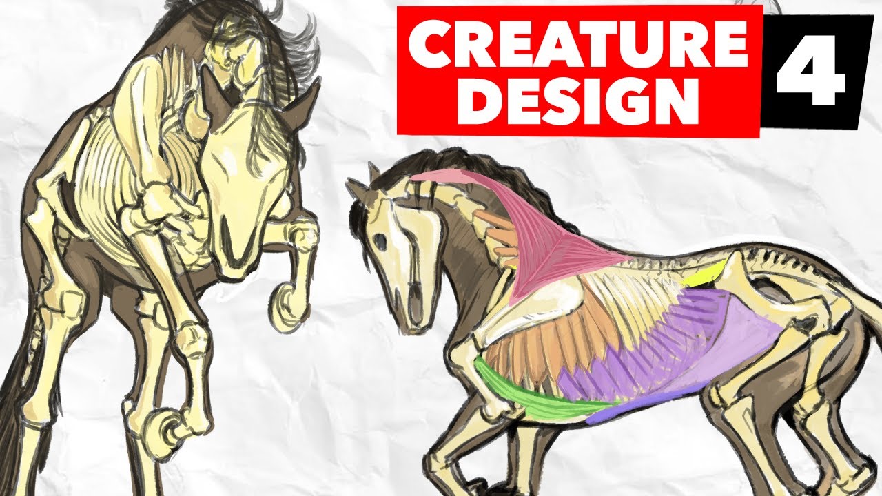 INTRO to Human and Creature Anatomy! | Full Length Tutorial | Bootcamp Day 4