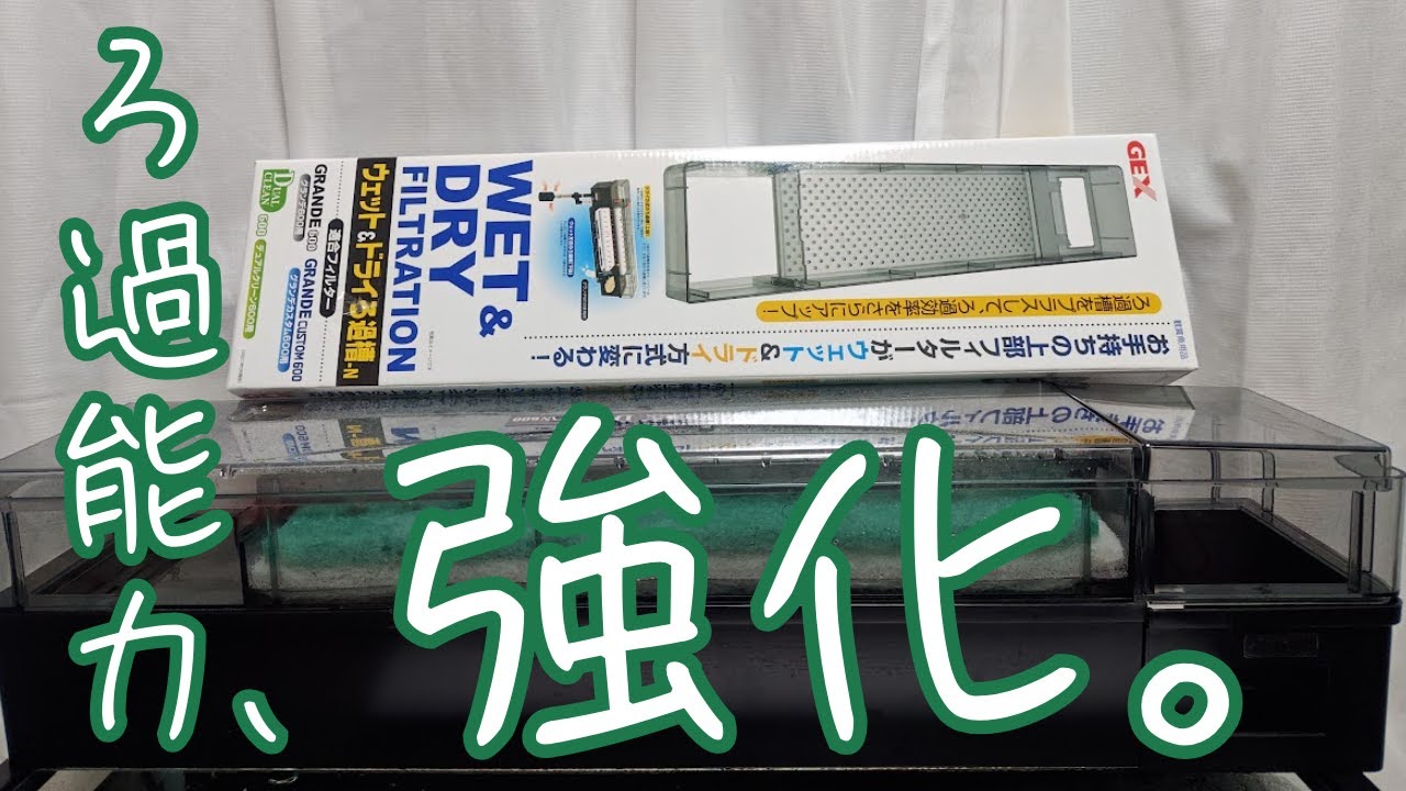 【バクテリア激増】デュアルクリーン600にウェット＆ドライをつけてろ過力アップ