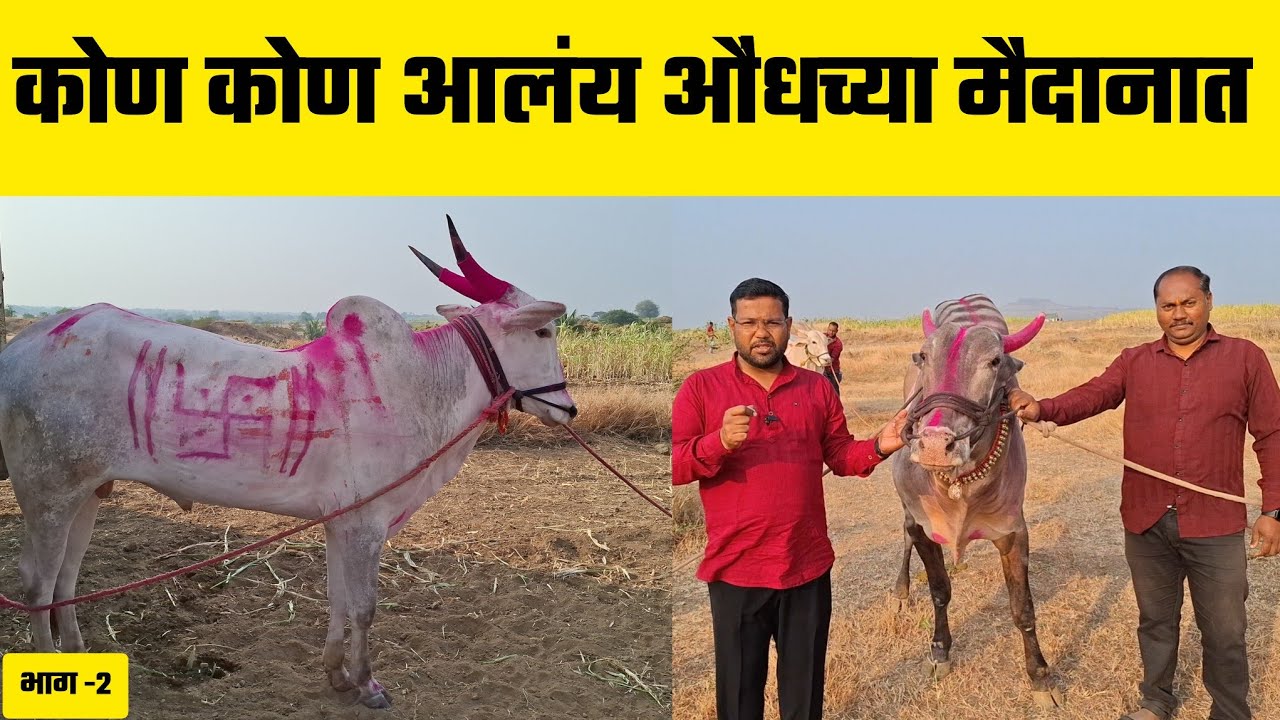 कोण कोण आलंय औंधच्या मैदानात | भाग -2