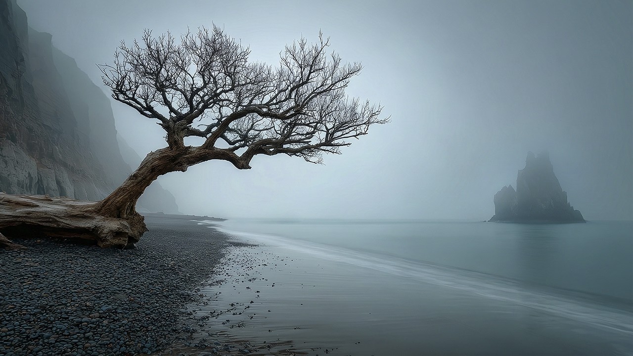 Your Power of Solitude | Chill Atmospheric Music to Relax & Recharge