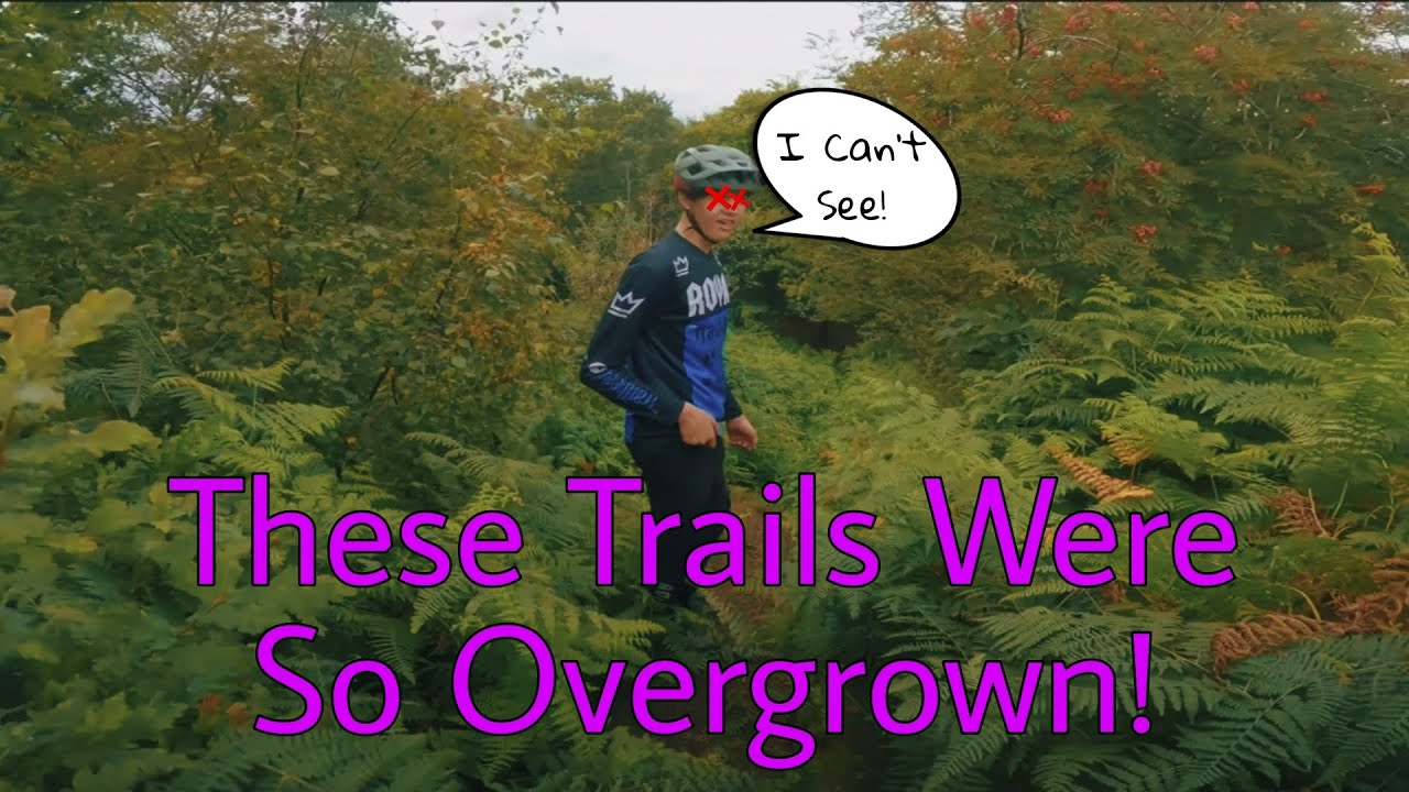 These Tracks Were So Overgrown!
