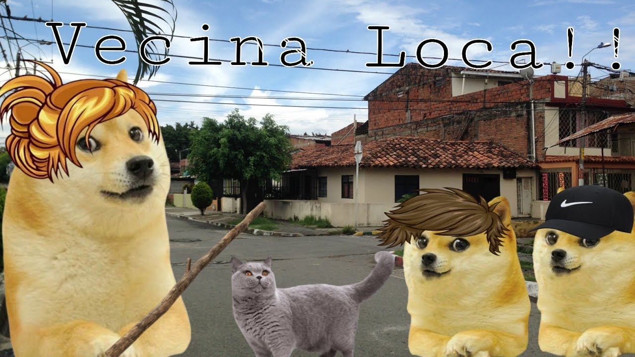 Madre con derecho enve#$na a mi gato,y no le Gustan los animales.Hilos con cheems