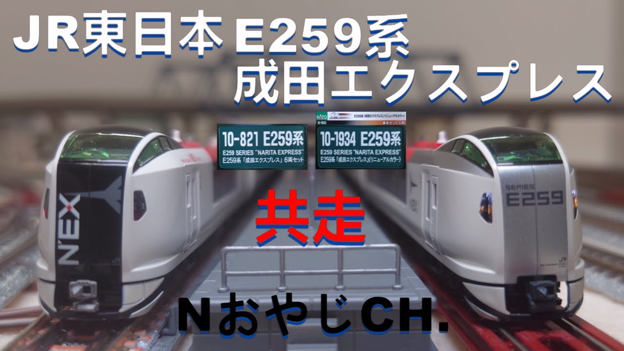 共走 JR東日本 E259系「成田エクスプレス」 JR EAST E259 SERIES “NARITA EXPRESS” ＃train