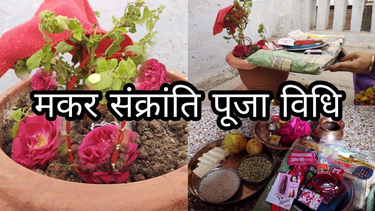 मकर संक्रांति पर तुलसी को सोने की बिंदिया दान कैसे करें !! Makar Sankranti Dan Punya Vidhi