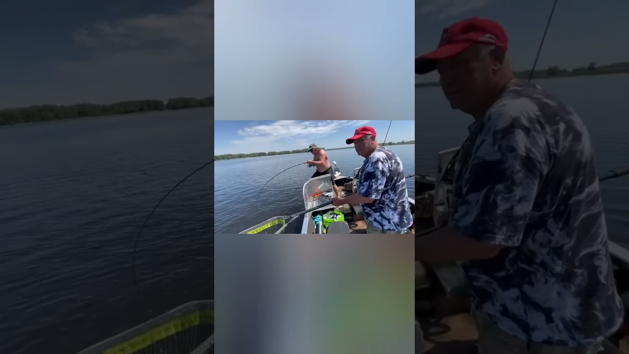 ВОЛЖСКИЕ МОНСТРЫ!