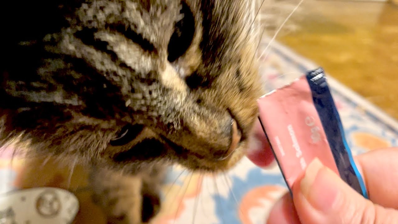A moon shaped treat for Eric