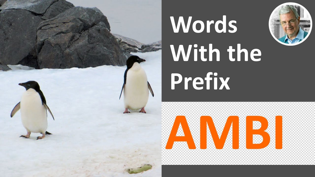Words With the Prefix AMBI | AMB (7 Illustrated Examples)