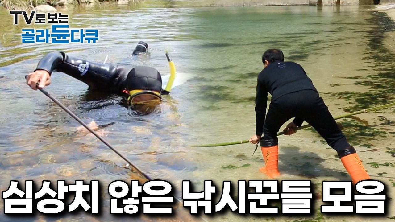 평범한 낚싯대는 절대 안쓰는 기묘한 낚시 고수들 모아보기｜한국기행｜#골라듄다큐