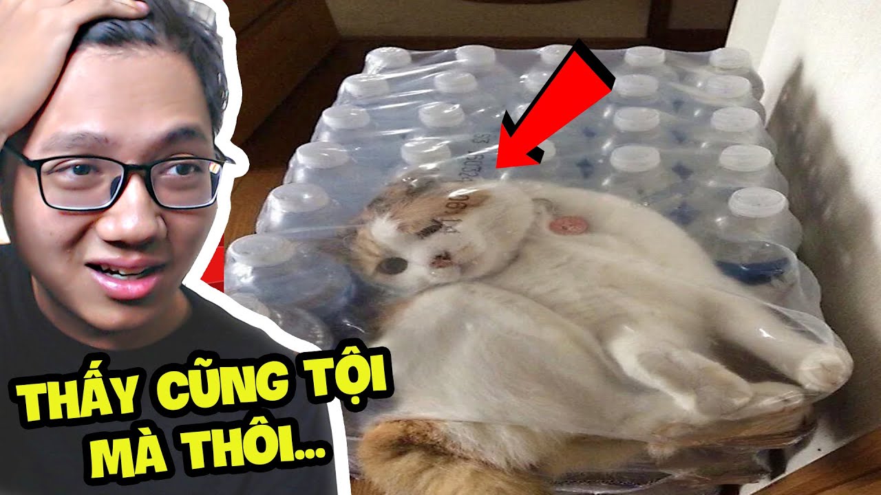Họ Đã Có Một Ngày Còn Tồi Tệ Hơn Bạn...