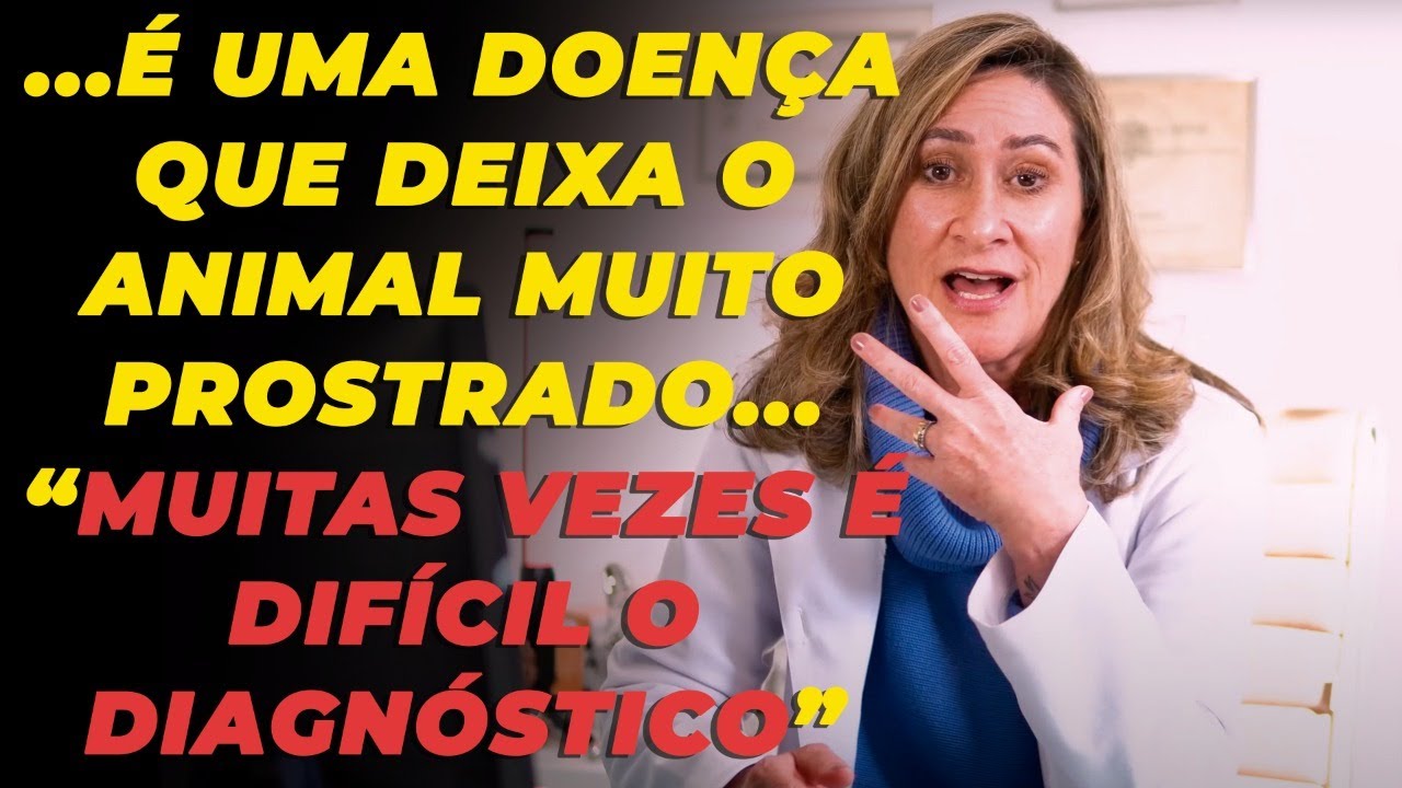 Como saber se o pet tem lúpus? | Tudo sobre o lúpus em cães e gatos! | Dra. Michele Sandrault