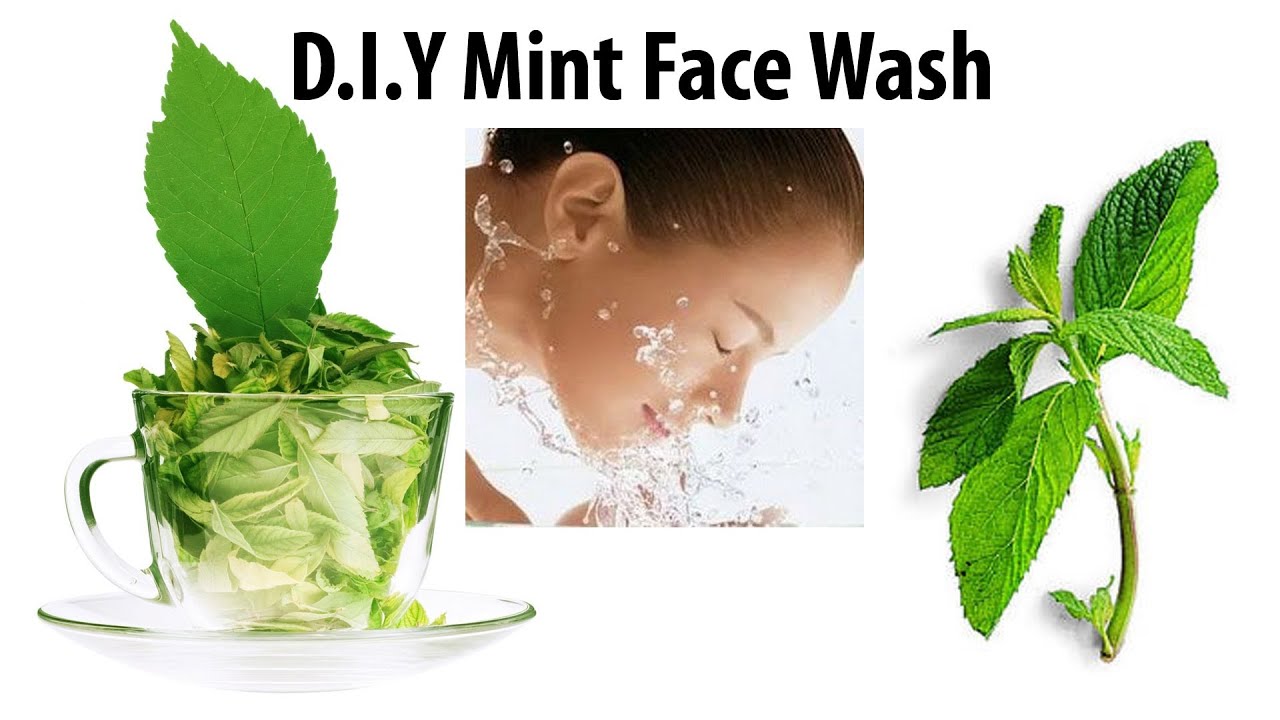 D.I.Y Mint Face Wash for Acne Prone/Oily  Skin