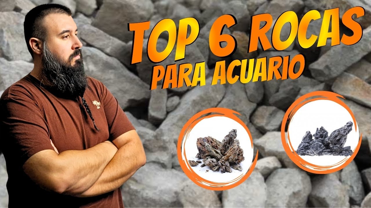 🪨 Guía definitiva: TOP 6 rocas para acuario 🐟 | cuáles usar ✅ y cuáles evitar ❌