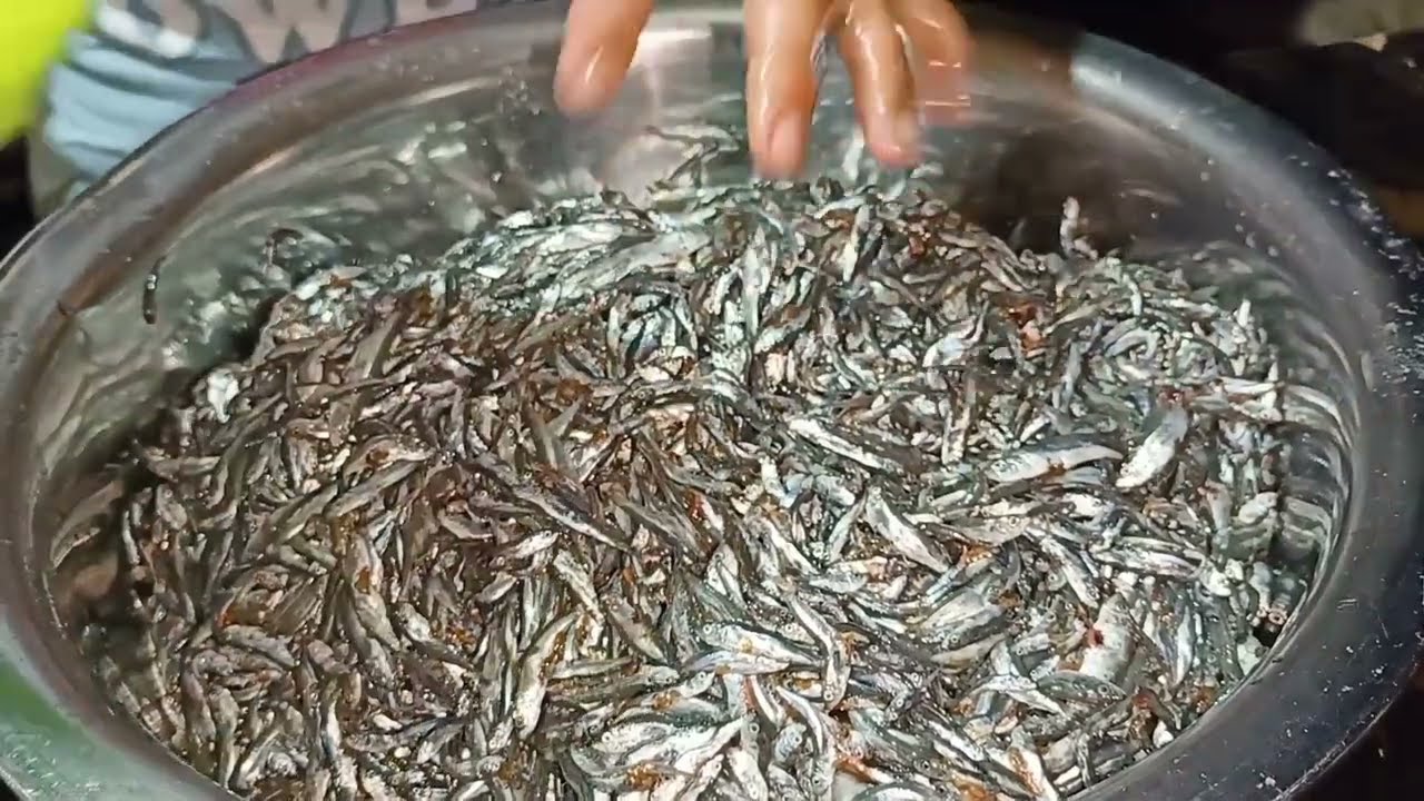 Simpleng Paraan na paggawa ng Bagoong | Fermented Fish