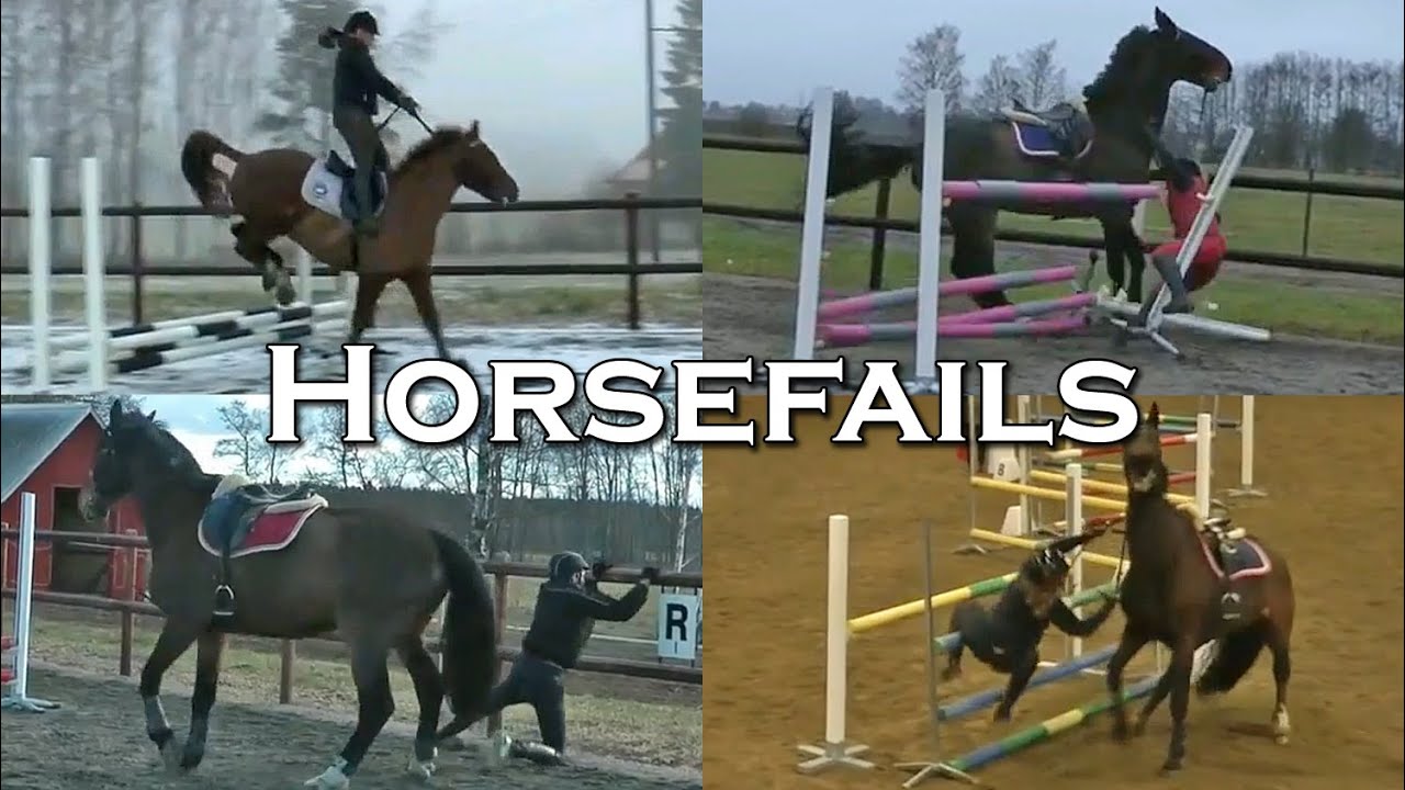 VÅRA ROLIGASTE AVRAMLINGAR & FAILS - Horse Fail Compilation