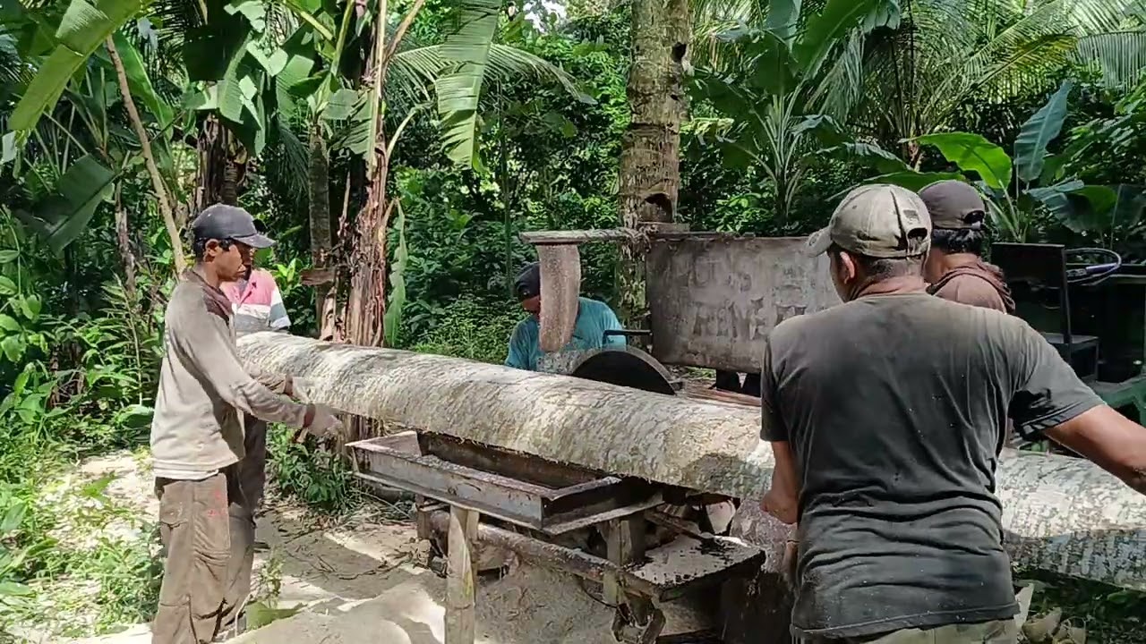 A team work cutting wood