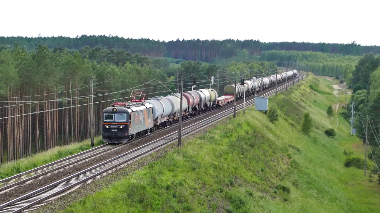 Węglówka lk 131 w Borach Tucholskich, 24 przeloty, 16.06.2017