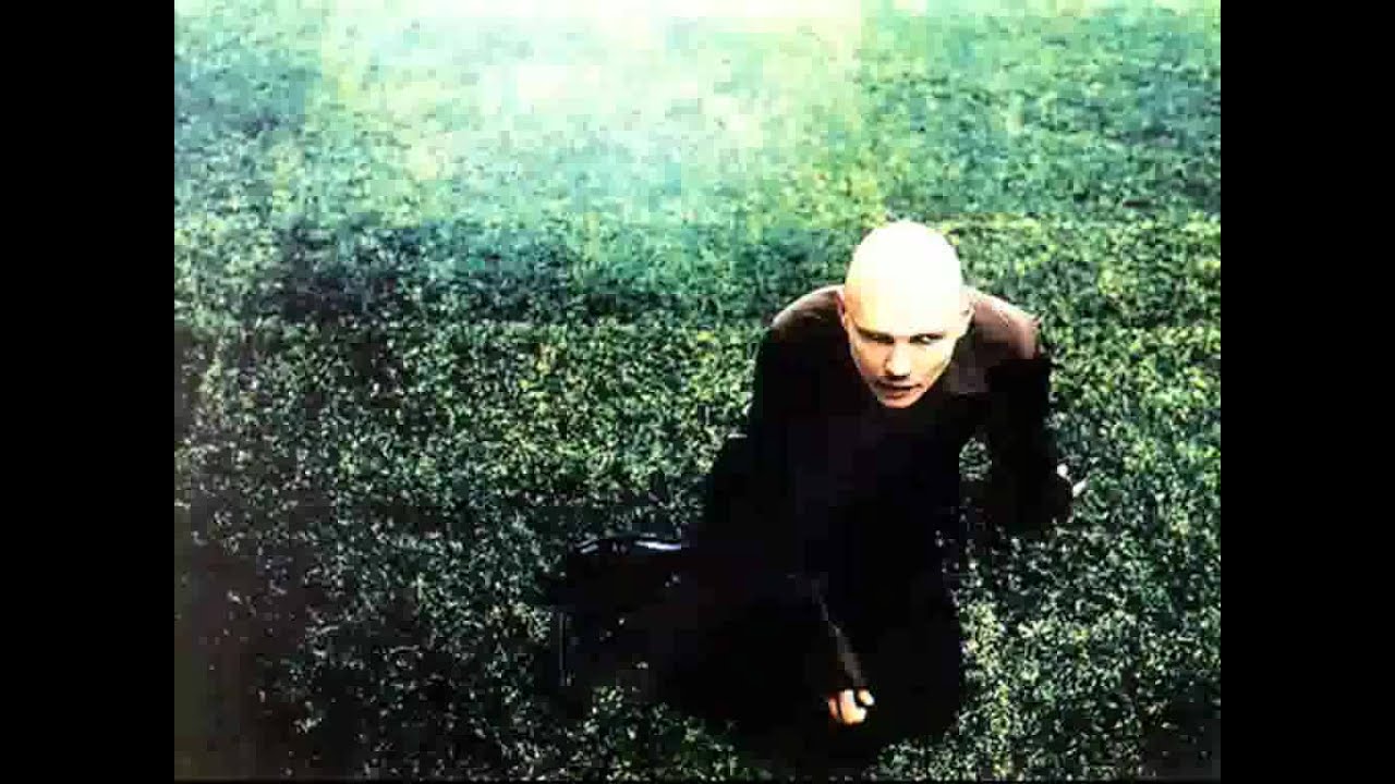 Smashing Pumpkins - In My Body (with lyrics)