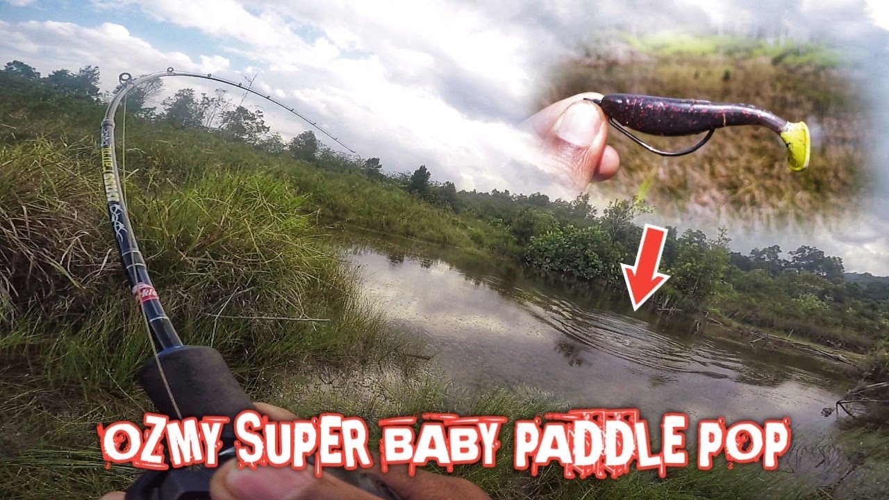 CASTING GABUS MENGGUNAKAN OZMY SUPER BABY PADDLE POP ||  SEKALI LEMPAR LANGSUNG DISAMBAR GABUS BABON