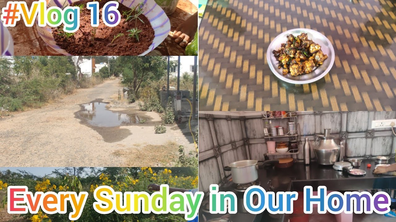 #Vlog 16 | ஒவ்வொரு ஞாயிற்றுக்கிழமையும் இப்படி தான் போகுது | Every Sunday in Our Home | Full day vg |