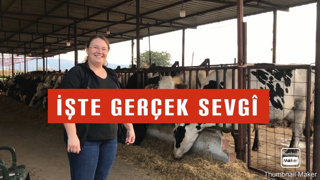 ALTINLARINI SATIP HAYVANCILIĞA BAŞLADI ~BİR BAŞARI HİKAYESİ~